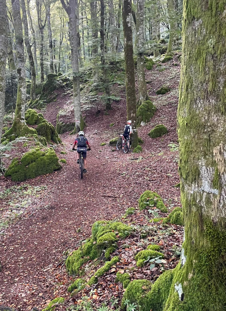 Tour di San Francesco